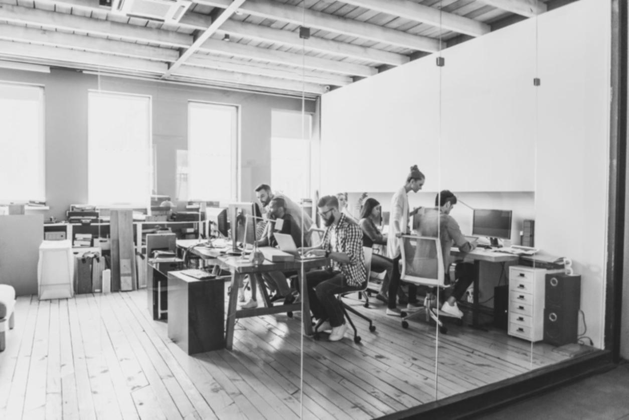 Equipa Gavorisling pronta para ajudar com SEO para e-commerce